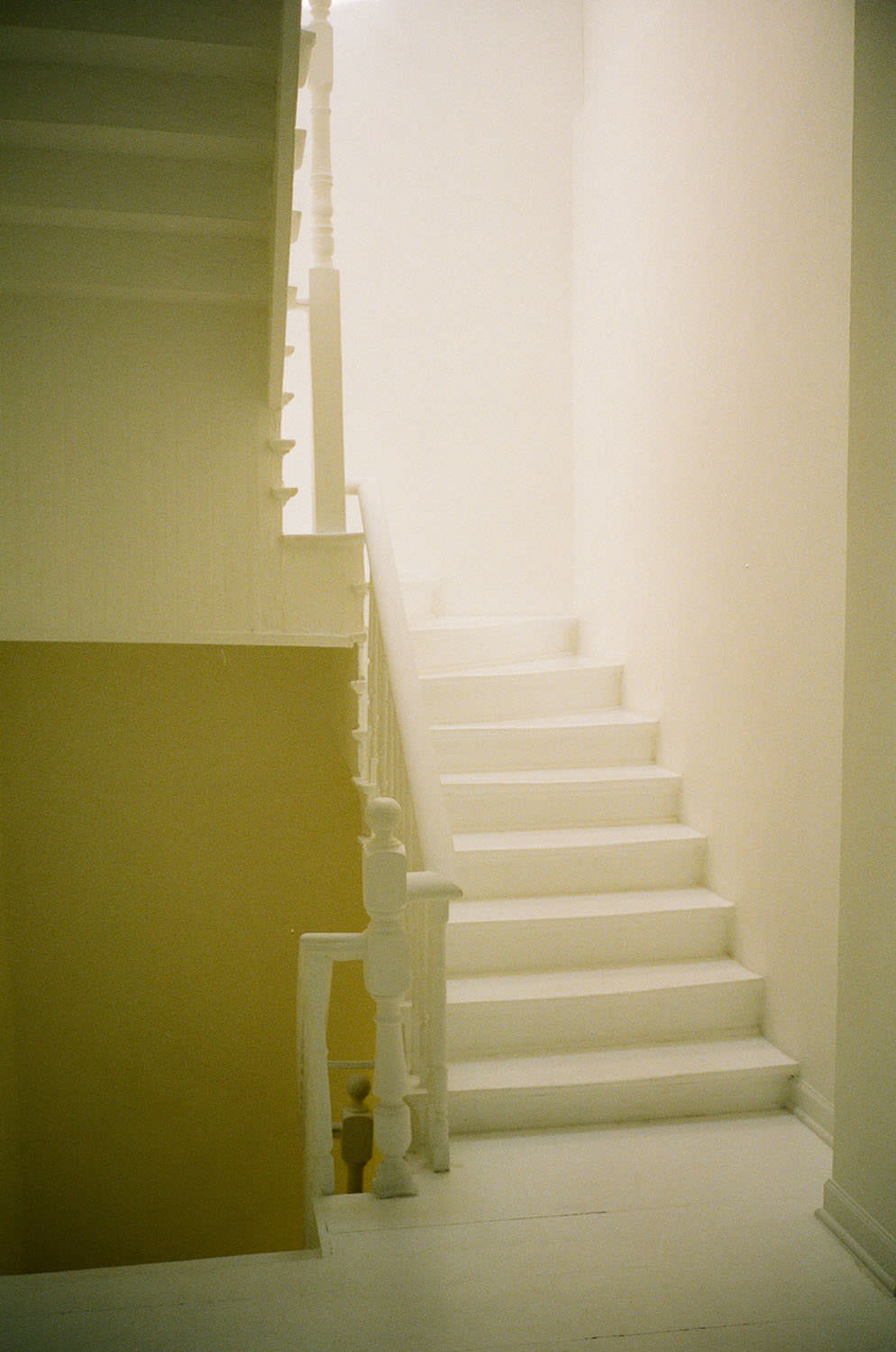 Contax T3 on Kodak Portra 400
