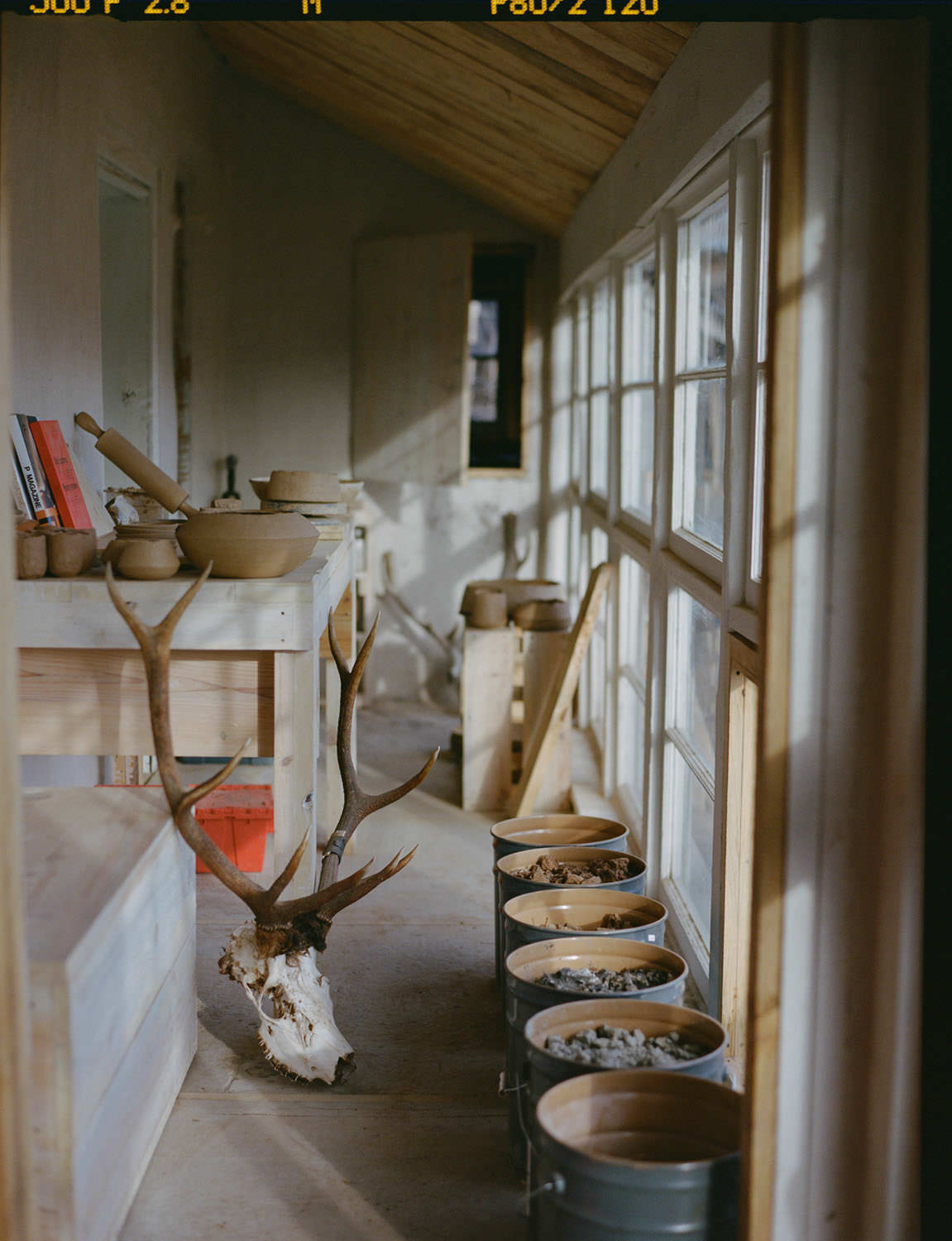 Contax 645 on Kodak Portra 400