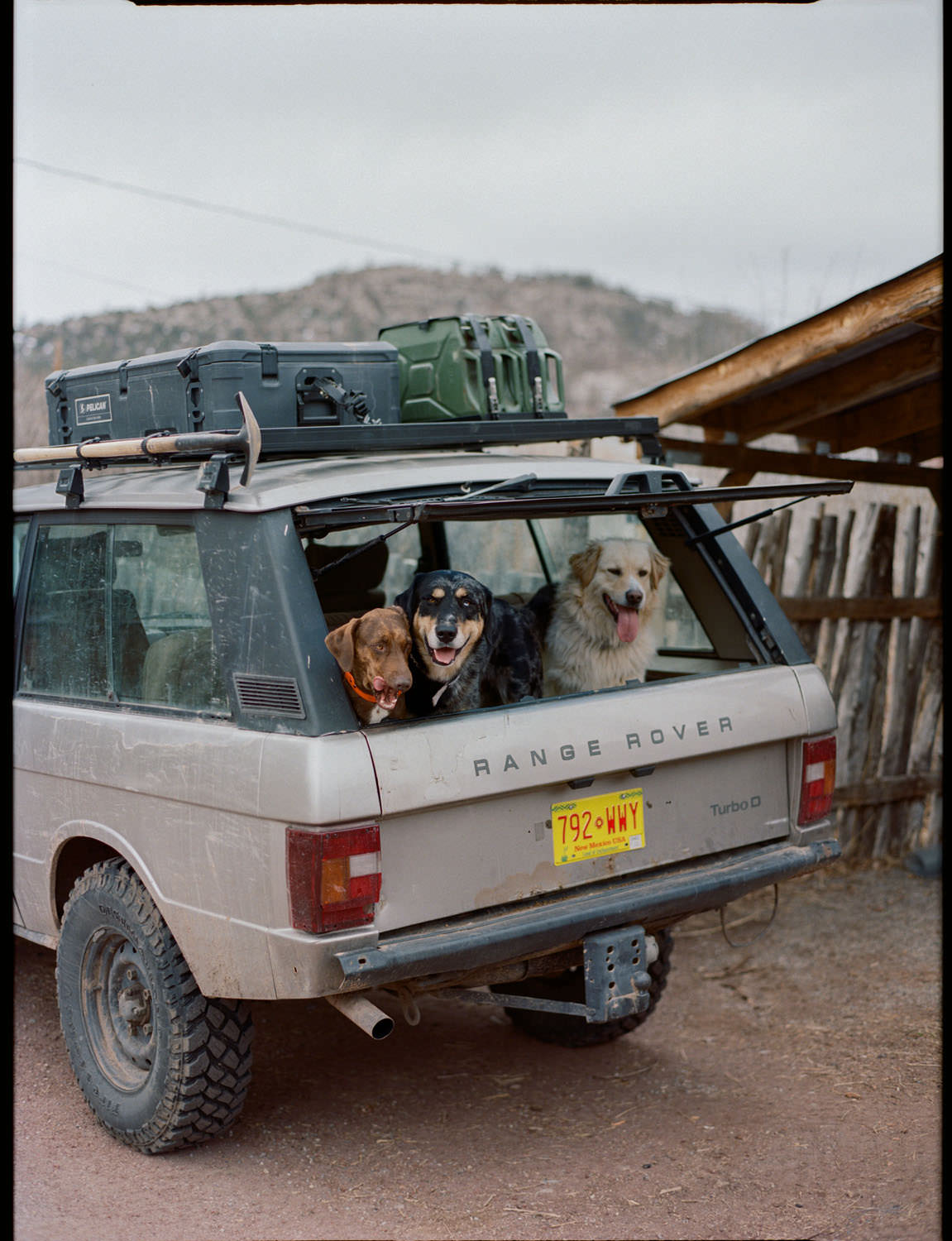 Contax 645 on Kodak Portra 400